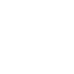 Dino Trends